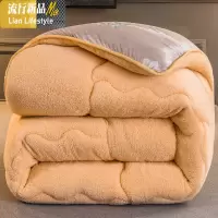 冬季羊羔绒加厚保暖超厚被子冬被10斤棉被芯单人学生宿舍春秋被褥 三维工匠