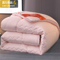被子冬被单人学生宿舍棉被空调被冬季加厚保暖被芯春秋被太空被心 三维工匠