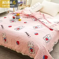 棉空调被夏凉被单人棉夏被儿童被夏季薄被子夏天双人春秋被芯 三维工匠