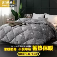 被子冬被棉被双人加厚保暖春秋被芯单人床学生宿舍冬季太空被冬天 三维工匠