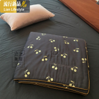 ins复古小樱桃天丝空调被夏季莫代尔双人夏凉被夏天薄款被子夏被 三维工匠