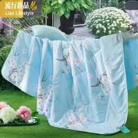 空调被夏凉被可水洗机洗双人被芯单人夏天薄被子儿童夏凉被 三维工匠