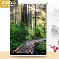 卷帘窗帘升降遮光免打孔安装拉帘办公室卧室厨房防水百叶手拉式帘 三维工匠