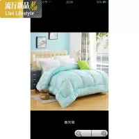 被子被芯加厚保暖冬季被褥棉被双人空调被夏凉被单人春秋太空被 三维工匠