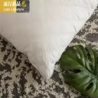高品质绗缝枕头芯 羽丝绒 蓬松枕芯 加厚一只J 三维工匠
