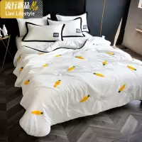 ins空调被夏凉被夏季水洗棉夏被可水洗双人薄被子春秋被单人学生 三维工匠