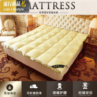 加厚10cm床垫床褥子榻榻米1.2学生宿舍单人1.8m1.5床双人防护垫被 三维工匠