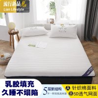 乳胶床垫软租房专用1.2米两面用垫被加厚榻榻米单人硬垫子 三维工匠