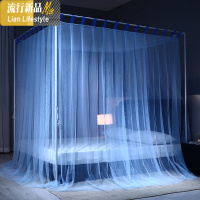 新款三开落地蚊帐宫廷1.5m1.8m床公主风家用烤漆支架加密1.2米 三维工匠