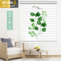 香格里拉帘柔纱帘卷帘窗帘遮光升降百叶小清新北欧卫生间卧室书房 三维工匠