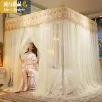 宫廷蚊帐家用双人1.8米床不锈钢支架1.5公主风三开落地加密纹账 三维工匠