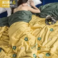 天丝夏凉被夏天空调被双人夏被冰丝薄被子单人夏季丝滑薄款春秋被 三维工匠
