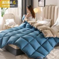 冬季被子加厚保暖冬被春秋被芯羽丝棉被子四季通用学生单人宿舍 三维工匠