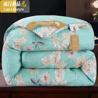 加厚被子冬被春秋太空调被双人轻薄棉丝棉被芯保暖冬季单人冬天 三维工匠