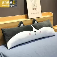 枕头单人男生学生宿舍床女孩卡通家用简约带枕套单个儿童成人可爱 三维工匠