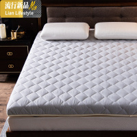 日式榻榻米床垫地铺睡垫懒人床加厚防潮可折叠地垫单人打地铺 三维工匠