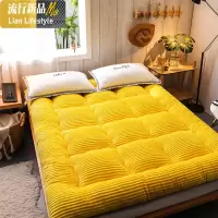 床垫软垫冬季加厚保暖牛奶绒榻榻米垫子单双人租房专用垫被床褥子 三维工匠