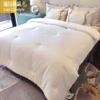 [大豆纤维][温和贴身]秋冬棉被芯被子单人双人加厚 三维工匠