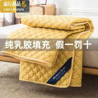乳胶床垫保护垫床褥垫1.5m床保护垫单双人冬季软垫薄款垫子 三维工匠
