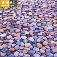 3d地垫垫地毯防滑厨房卧室客厅塑料脚垫进口家用超薄地垫子 三维工匠
