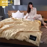 冰丝夏被丝滑凉爽夏凉被200×230cm双人素色单人可机洗空调被 三维工匠被子