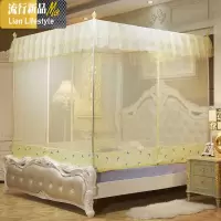 新款蚊帐公主风拉链方顶坐床式加密加厚1.5m1.8m床双人家用x2.0米 三维工匠
