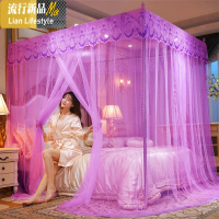 蚊帐家用1.8米床双人加厚加密公主风1.5m宫廷三开单人床1.2米床 三维工匠