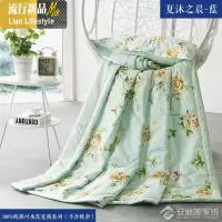 棉卡通夏被单双人空调被棉学生儿童可机水洗夏凉被夏天薄被子 三维工匠