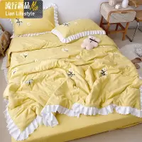少女风小雏菊绣花夏凉被空调被四件套可水洗韩式花边夏季薄被子芯 三维工匠