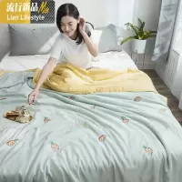 空调被薄款单人夏季被子夏天双人可机洗天丝凉被ins夏凉被 三维工匠