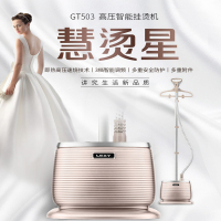 莱克（LEXY)挂烫机GT503