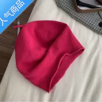 SUNTEK 日系堆堆帽女春秋ins潮网红秋冬小众帽子包头帽新款贝雷帽