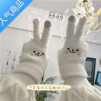 SUNTEK手套女冬季秋可爱ins触屏保暖加绒骑车毛绒学生韩版加厚柔软简约