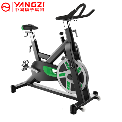 扬子(YANGZI)新款磁控动感单车健身脚踏车YZ-XB06