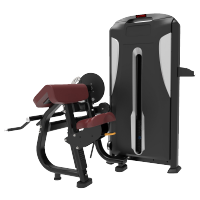 扬子嘉宝二头肌三头肌训练器YZ-TP26