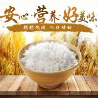 安徽巢湖旺长粒香米煲仔饭专用新米虾田种植10斤装