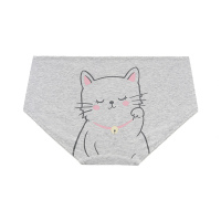 Ideamini3件120]bodypops少女可爱小熊印花棉裆舒适透气低腰内裤内裤