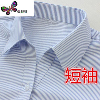 语娄女士白底蓝色条纹职业衬衫V领酒店银行工装修身正装大码长袖免烫