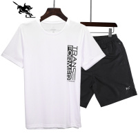 361运动套装男短袖速干T恤短t旗舰春季卫衣两件套休闲装跑步服装 NEW LAKE