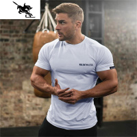 肌肉健身运动紧身衣男圆领T恤夏季速干衣短袖T健身训练服打底衫薄 NEW LAKE