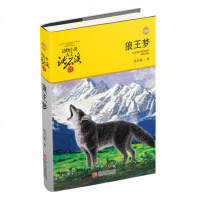 浙江少儿 动物小说大王沈石溪品藏书系 狼王梦升级版2 动物故事书 动物军团 中学生课外阅读书籍 动物世界 儿童读物