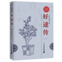正版 经典书香 中国古典禁毁小说丛书 好逑传 第一部译成西方文字并得以出版的中国长篇小说 古典文学 中国古典小说 古