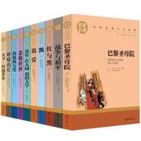 世界十大名著全套10册 原版原著红与黑巴黎圣母院书大卫 简爱书籍飘悲惨呼啸山庄外国名家小说青少初中生 书排行榜经