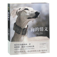 狗的情义 知名作家与动物摄影师联手呈现视觉盛宴展现狗美好动人的情义科普读物生物世界动物极具收藏价值 四色印刷 封面烫