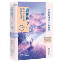 遇见你 我原谅了生活所有的刁难 超人气新锐作家力作 美国版 初恋这件小事 掀起国内初恋治愈小说阅读热潮 时代