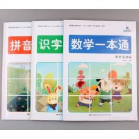 晨曦早教 幼小衔接入学准备拼音数学识字同拼音一本通同步活动册