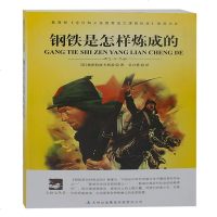 钢铁是怎样炼成的 全译本 适合中小学初中生 青少年励志必读.世界经典文学名著教辅文学读物 新课标 原版原著中文版 正