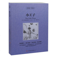 小王子 英文原版+中文版 中英文双语互译小说 英汉对照图书 经典名著原著 学生英语读物青少年必读世界名著 全集1册