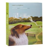 灵犬莱西 非注音版正版图书 打动孩子心灵的动物经典 儿童文学阅读故事课外 图书籍 人狗情缘外国儿童文学中国少年儿童