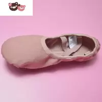 绿彩虹光全弹力布舞蹈鞋软底女芭蕾练功鞋专业猫爪儿童古典教师专用免系带